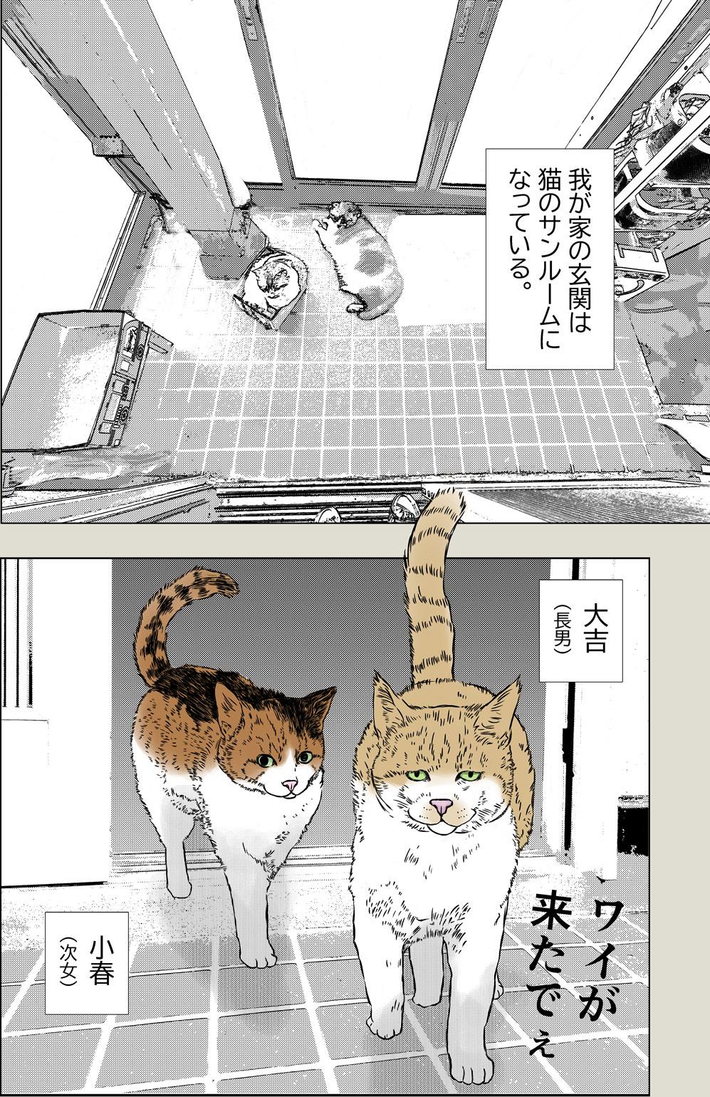 秋味、猫マンガ