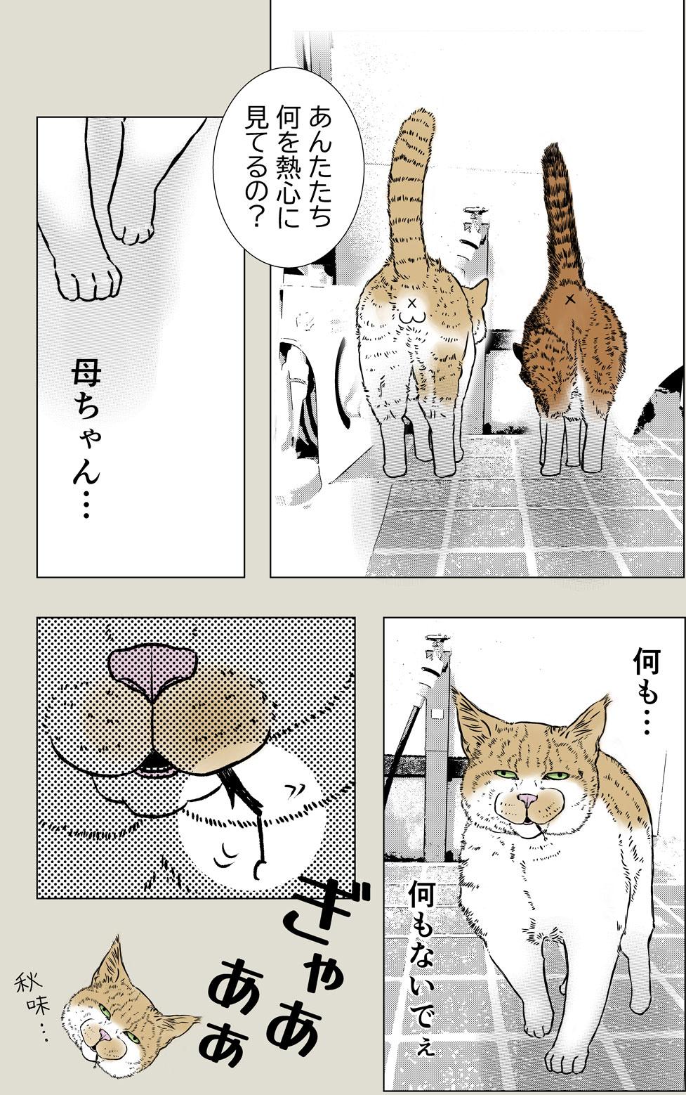 秋味、猫マンガ