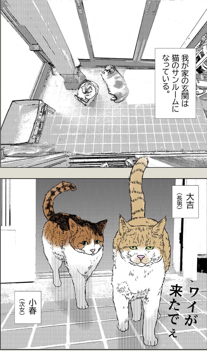 秋味、猫マンガ