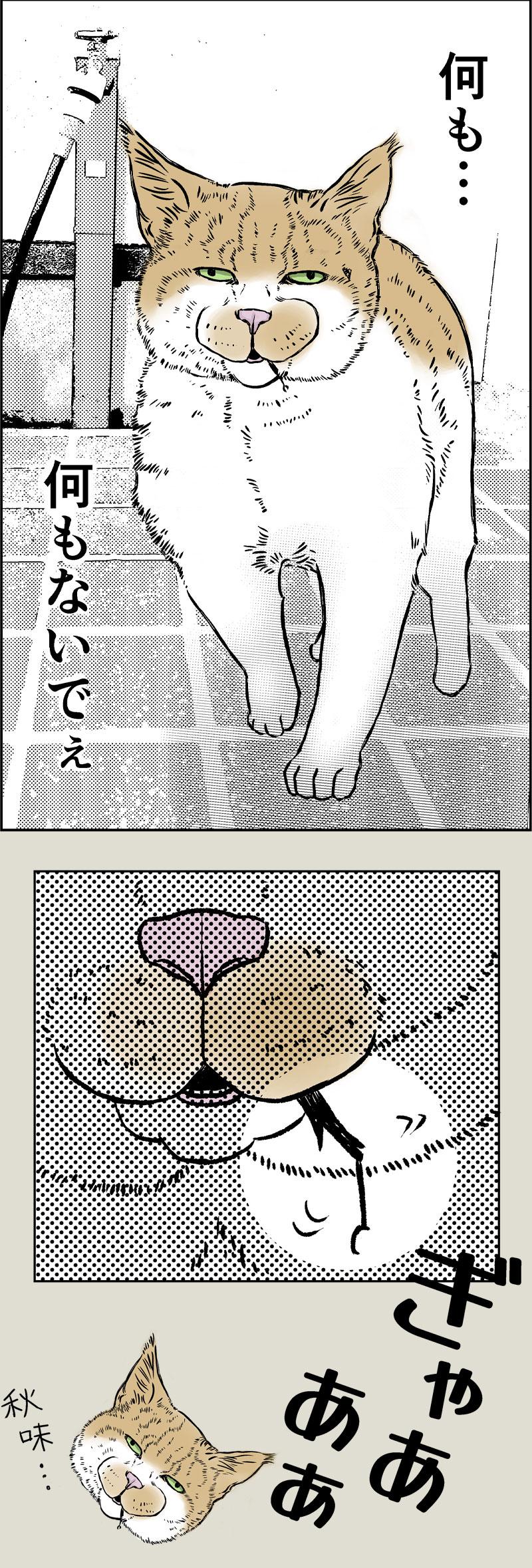 秋味、猫マンガ