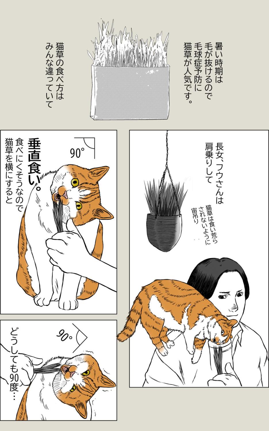 猫草それぞれ