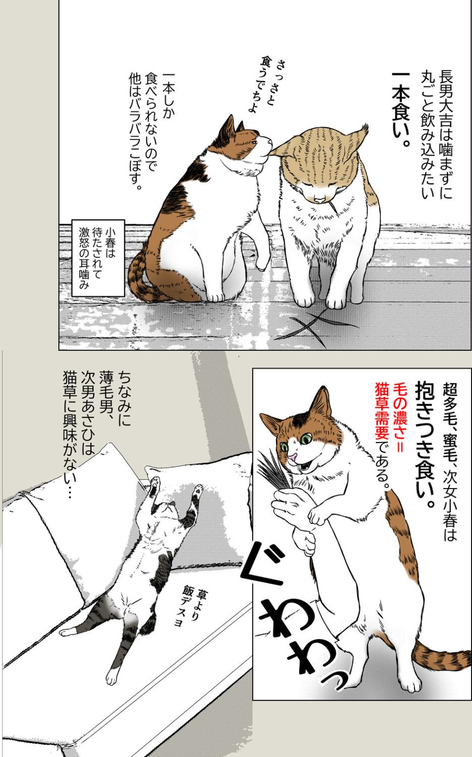 猫草それぞれ