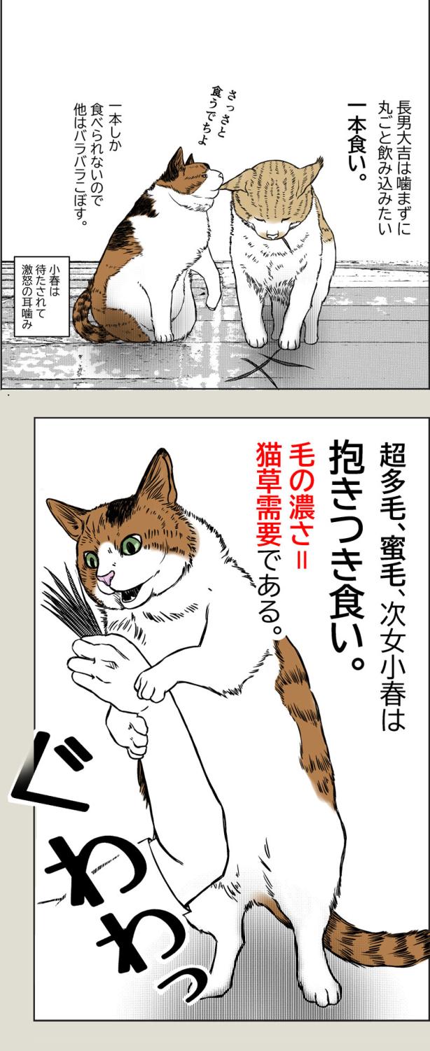 猫草それぞれ