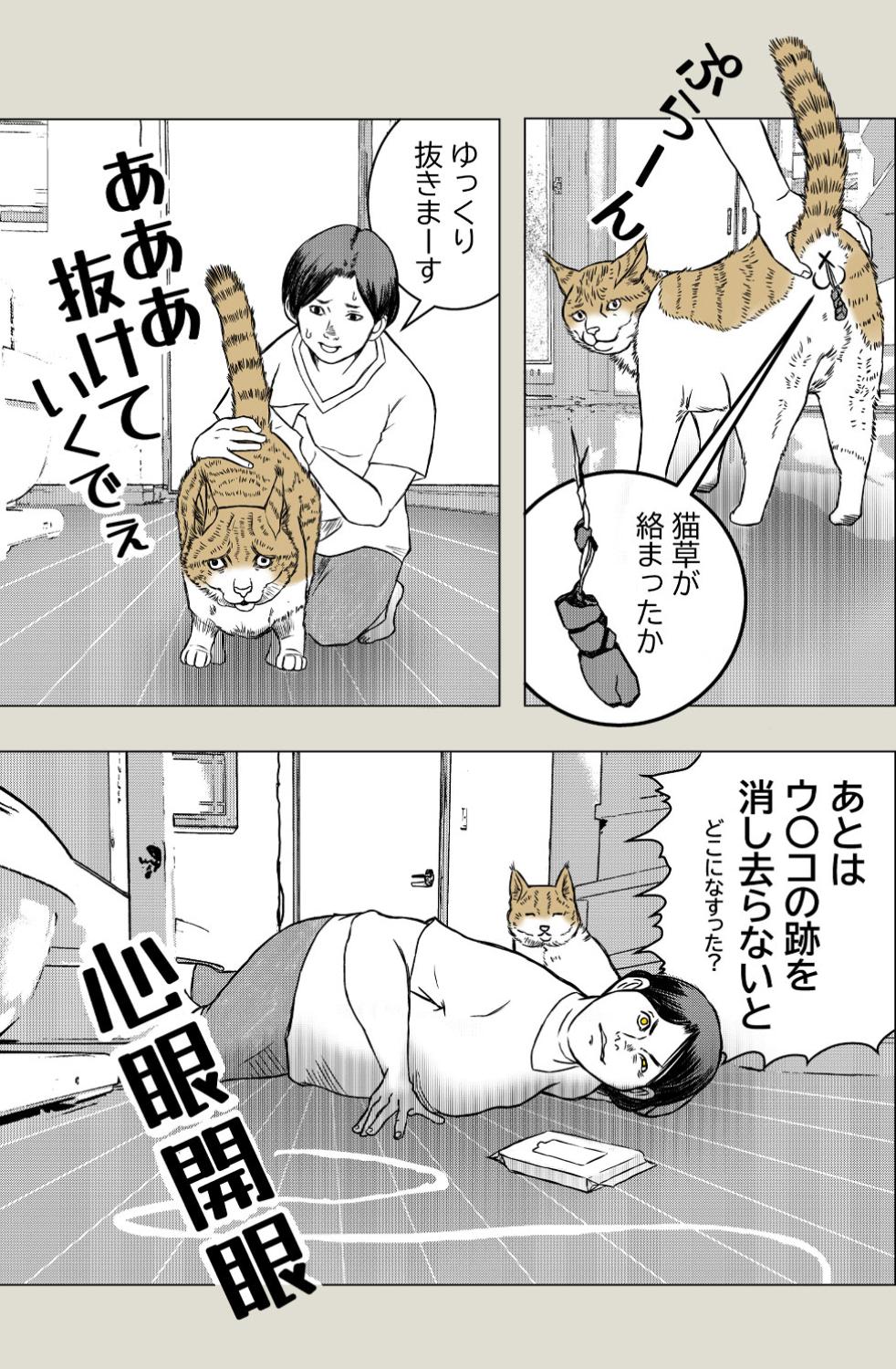 猫草、その後