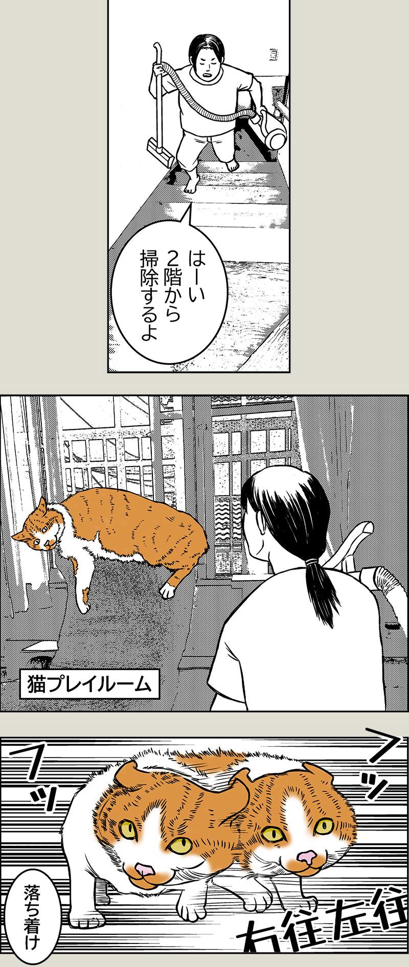 猫と掃除機