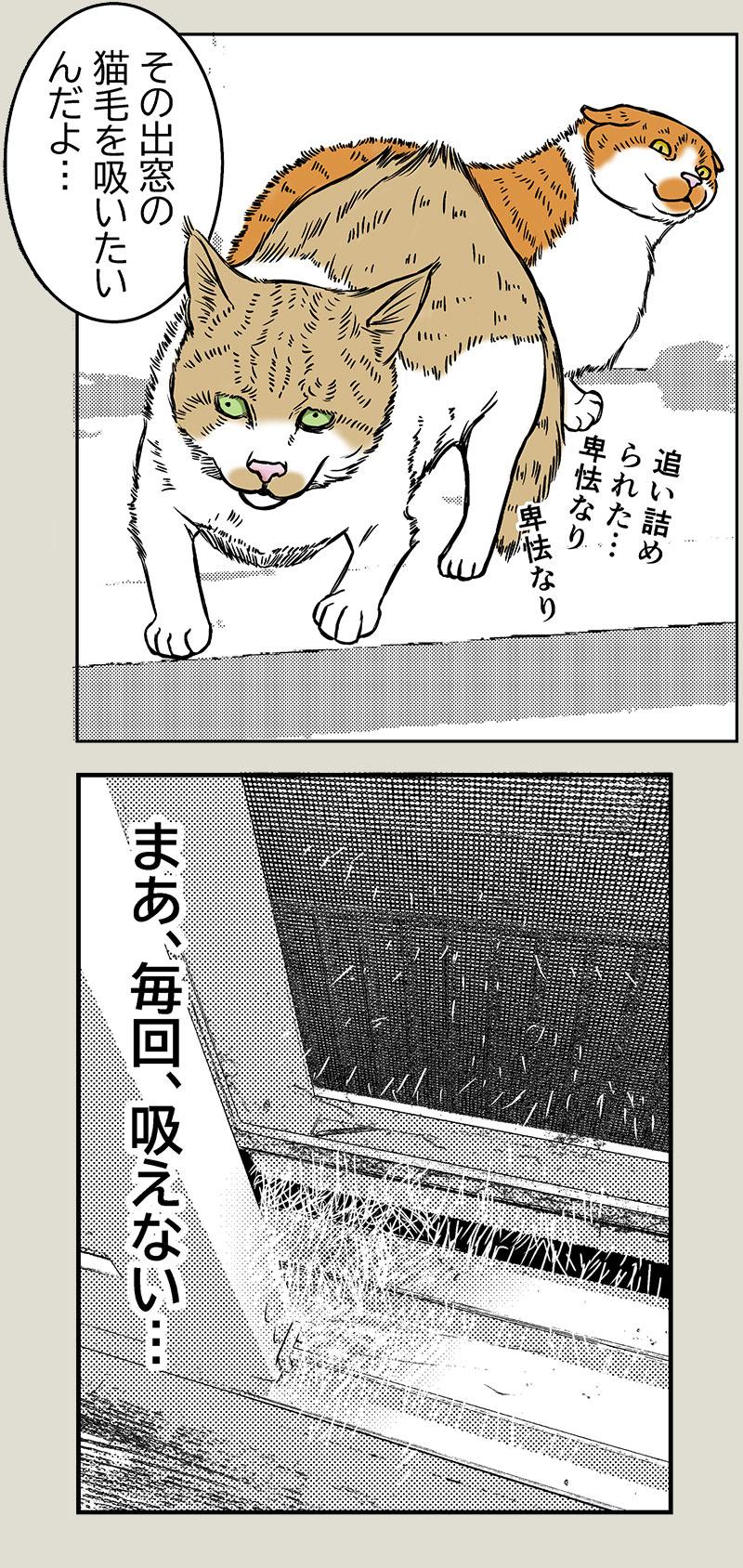 猫と掃除機