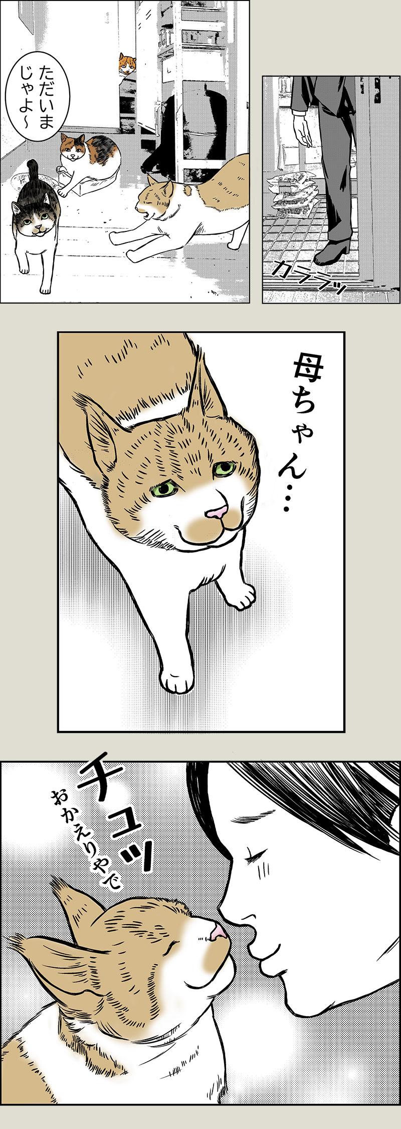 猫マンガ ハーレムナイト