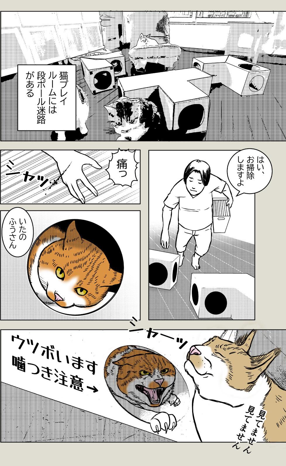 猫プレイルーム