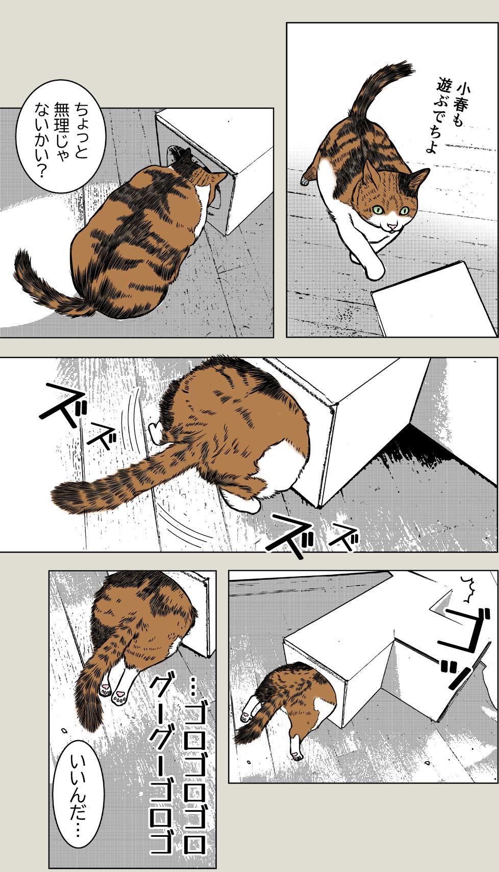 猫プレイルーム