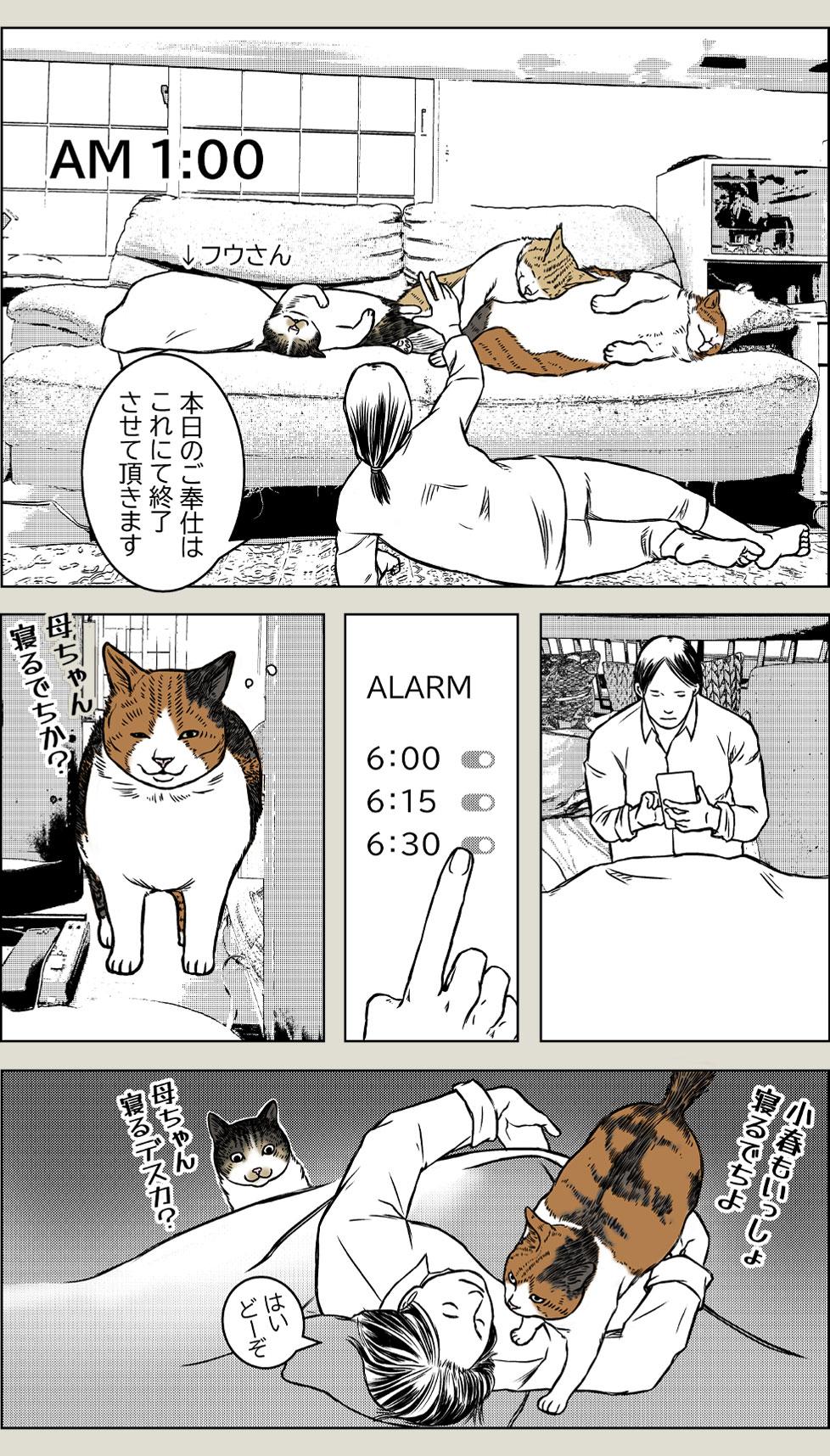 猫と朝から夜までPart1