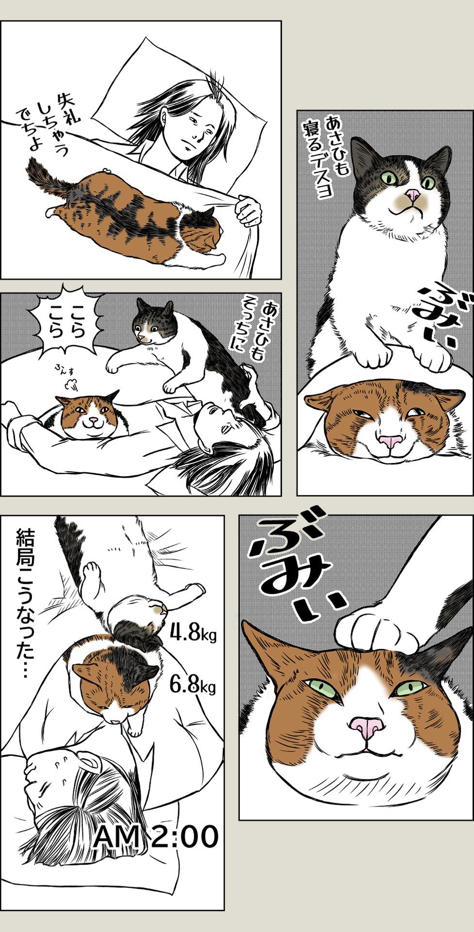 猫と朝から夜までPart1