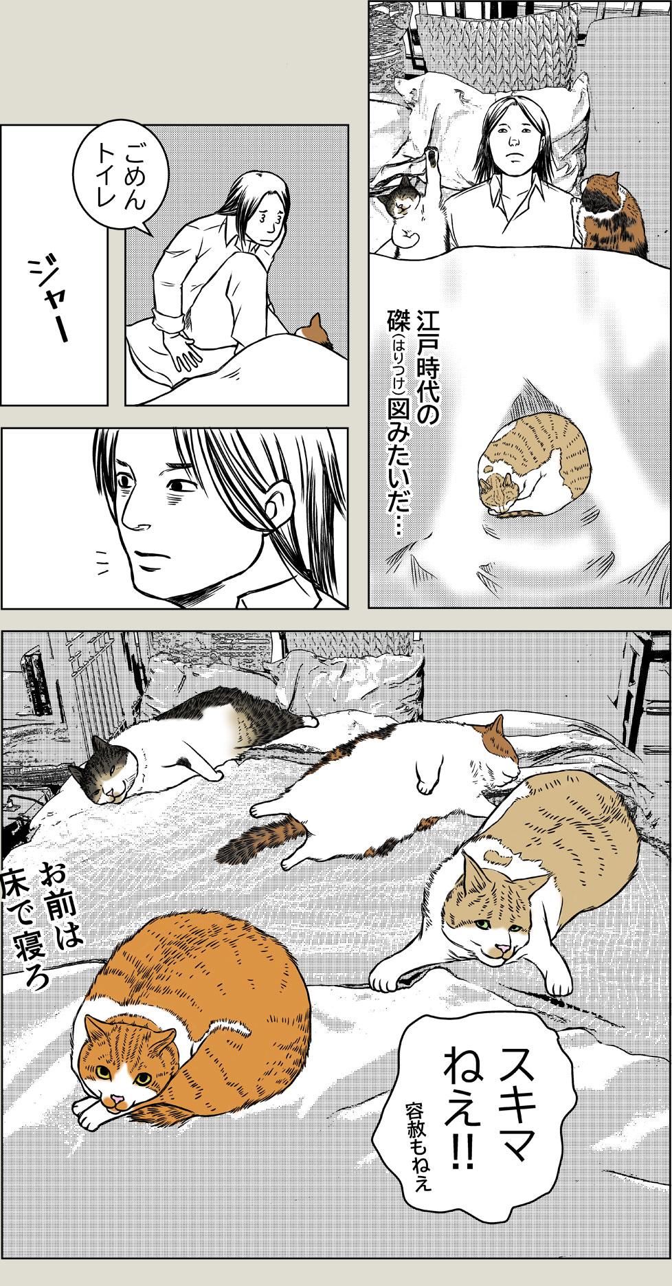 猫と朝から夜までPart2