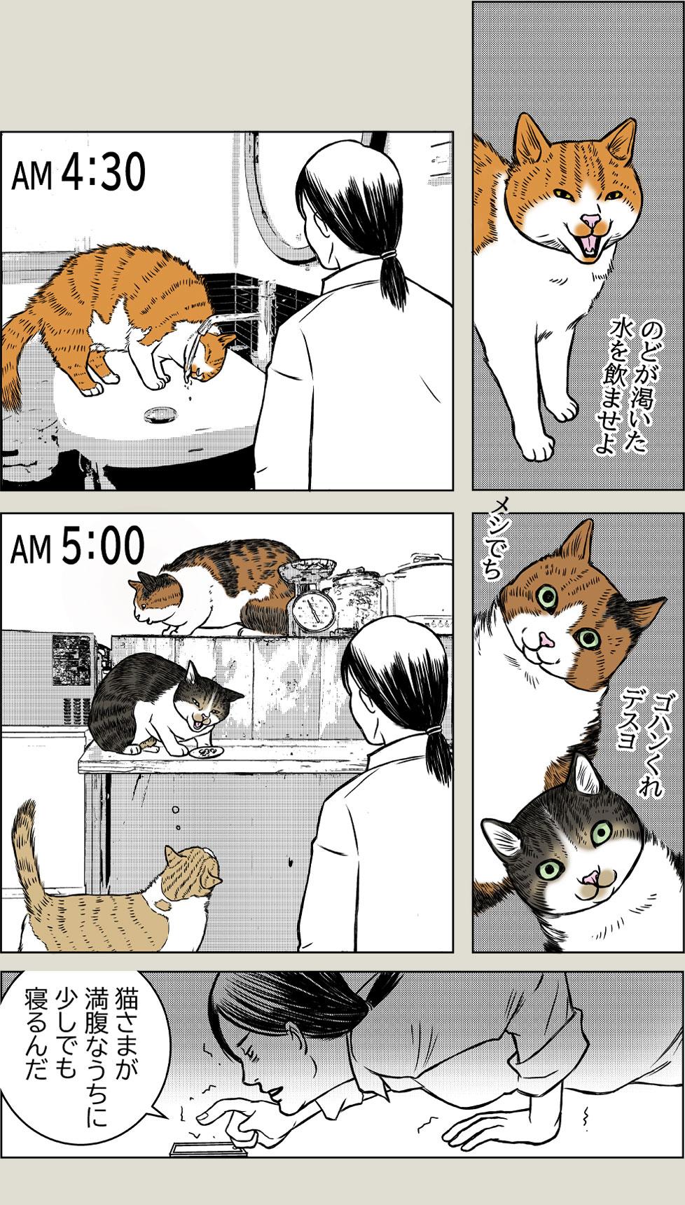 猫と朝から夜までPart3