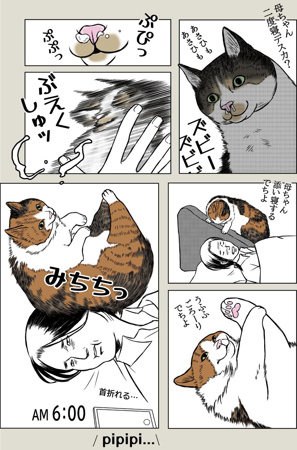 猫と朝から夜までPart3