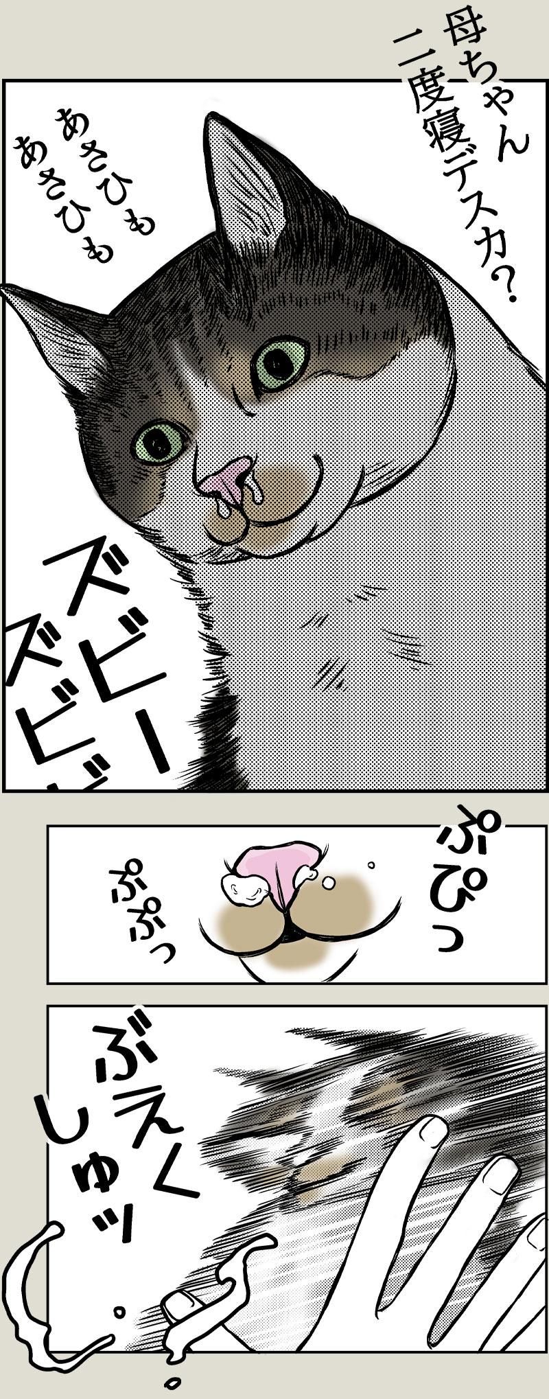 猫と朝から夜までPart3