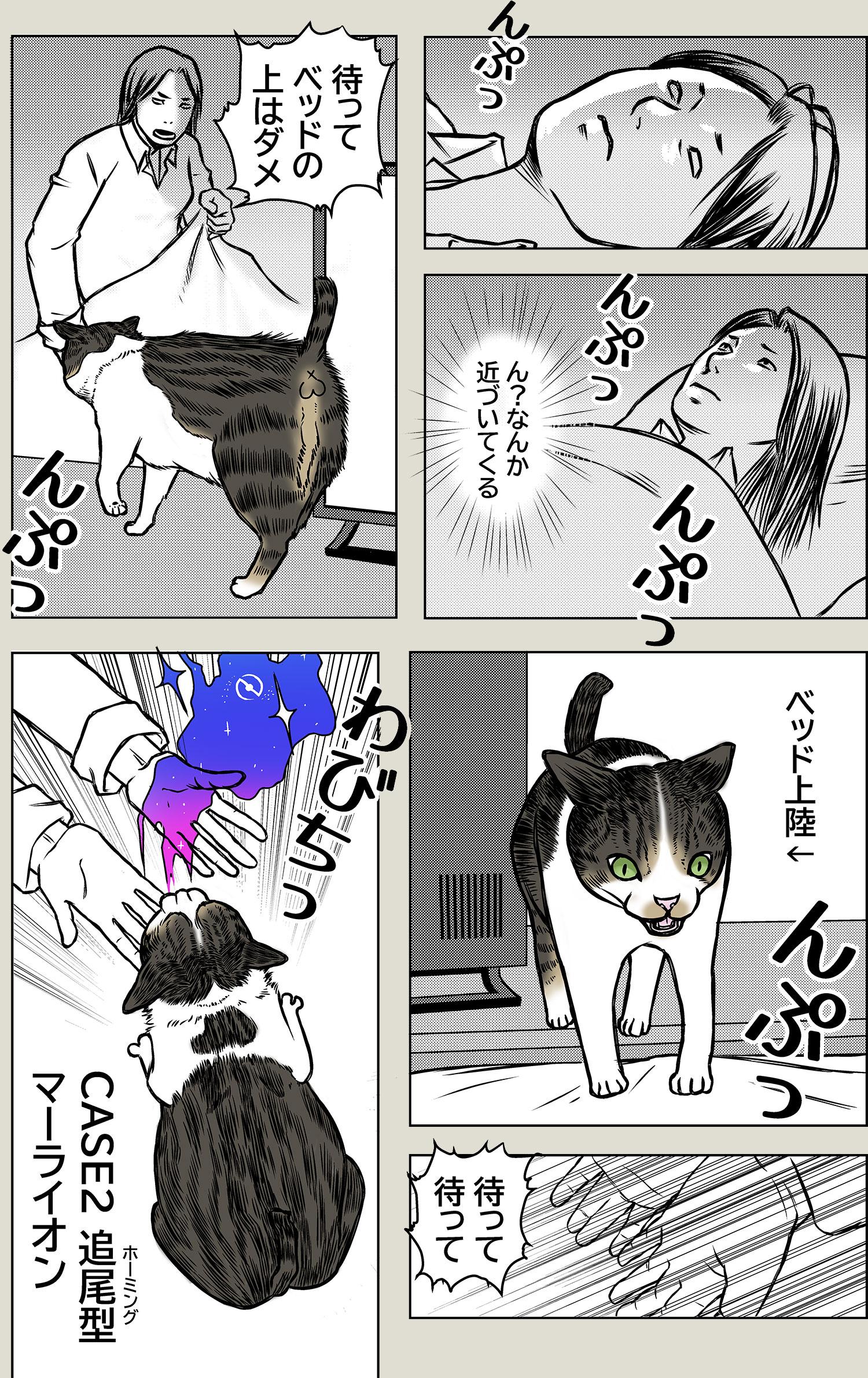猫のリバースについて