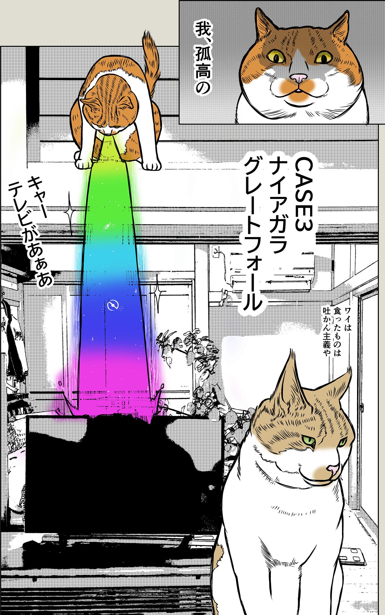 猫のリバースについて
