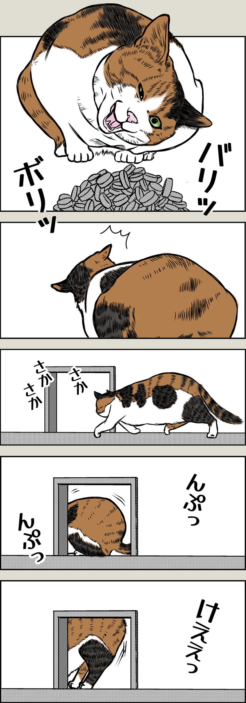 猫のリバースについて