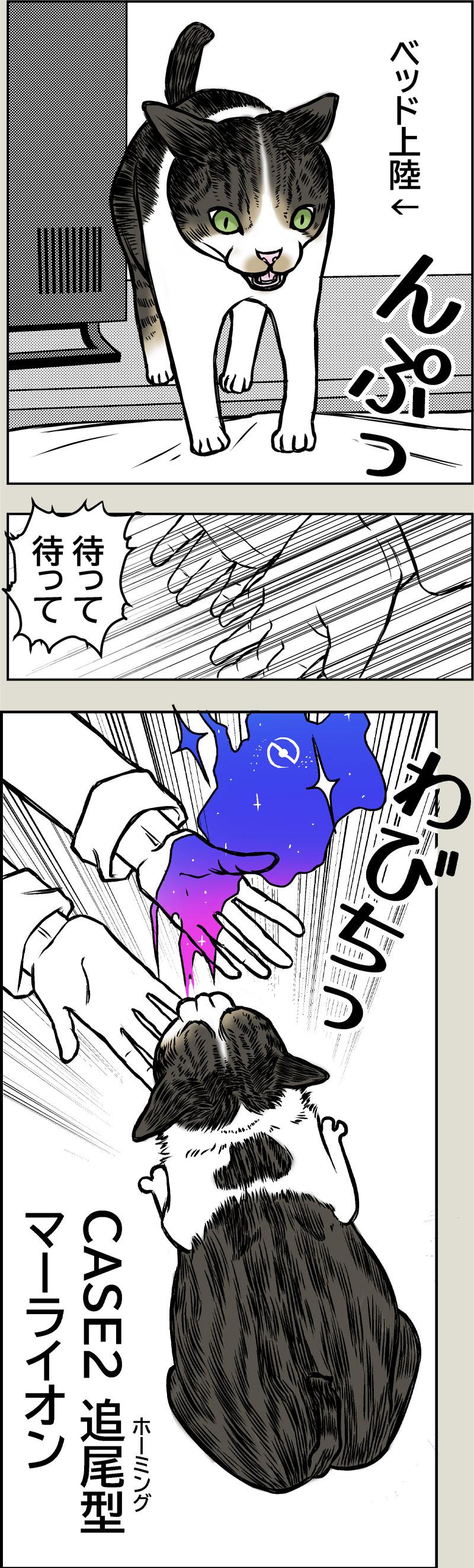 猫のリバースについて