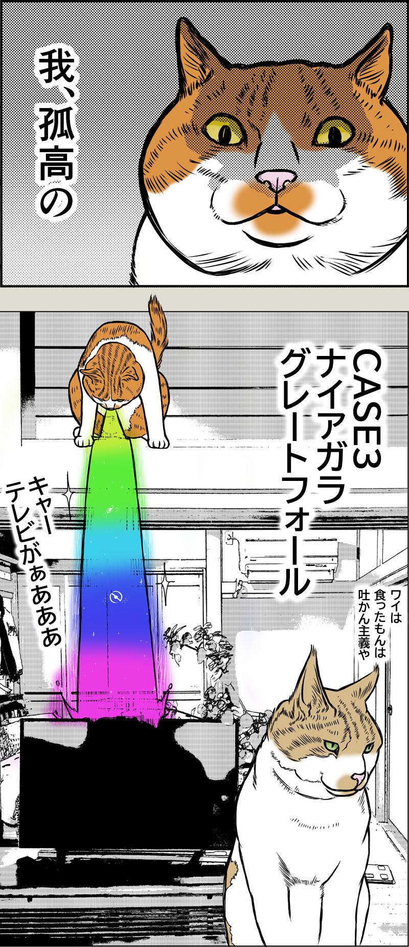 猫のリバースについて