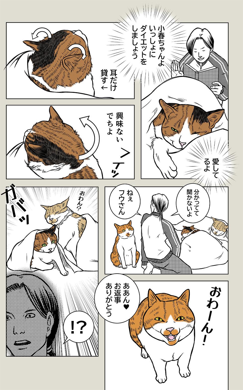 アニマルコミュニケーション