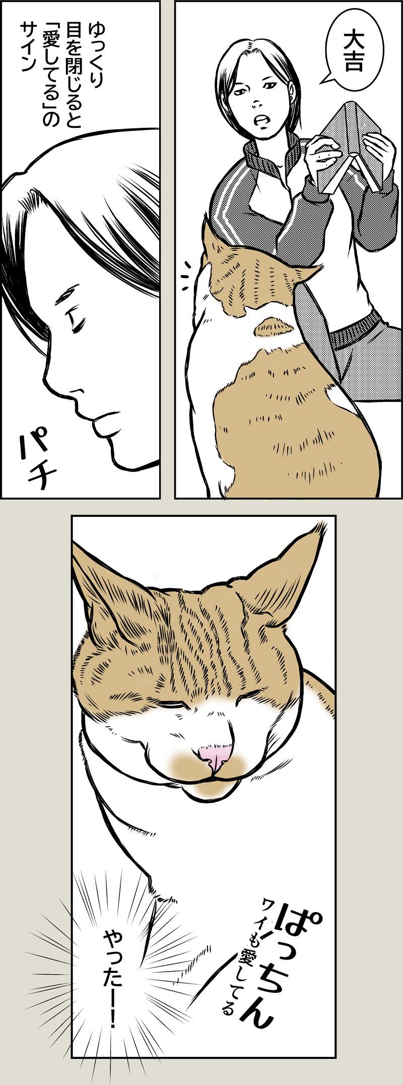 アニマルコミュニケーション
