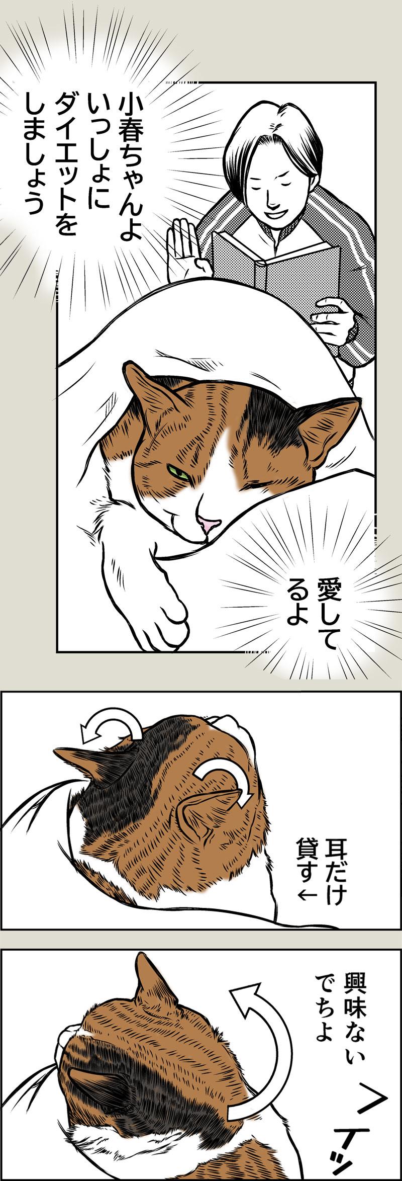 アニマルコミュニケーション
