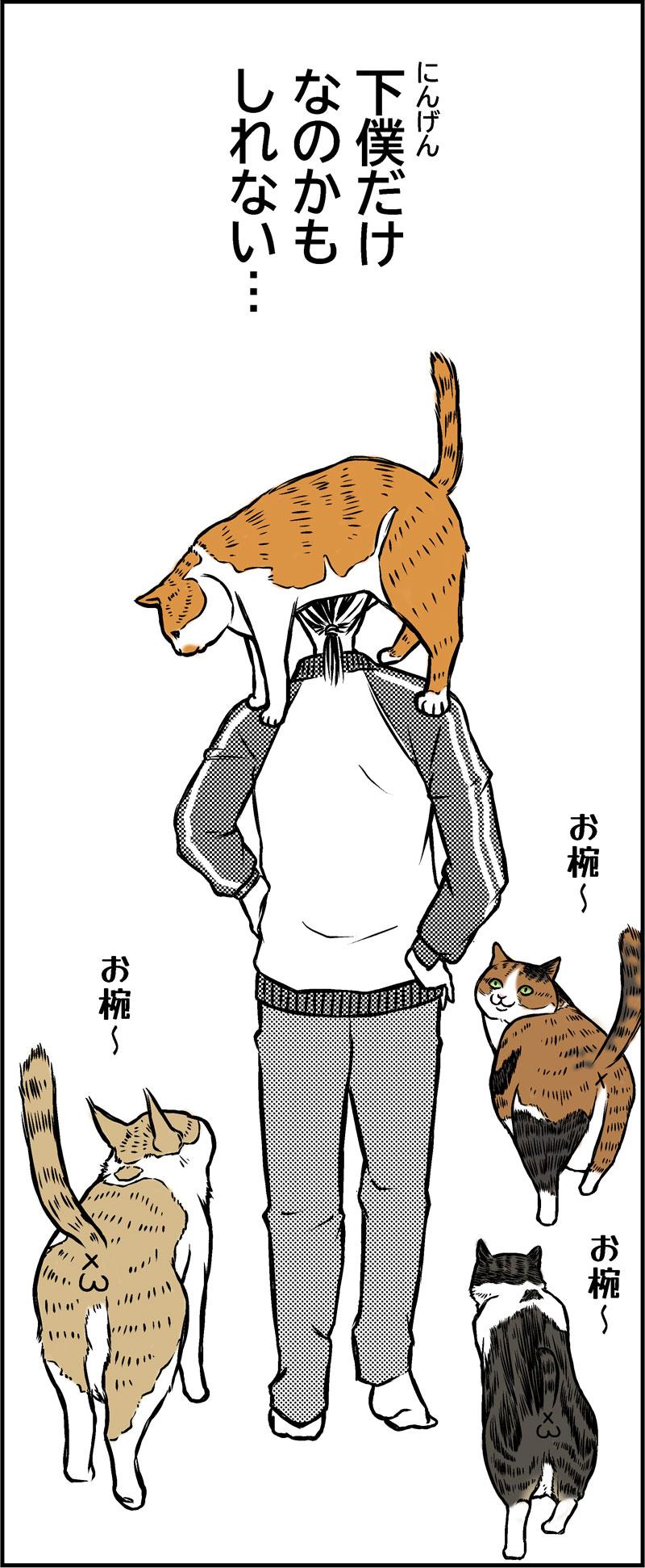 アニマルコミュニケーション