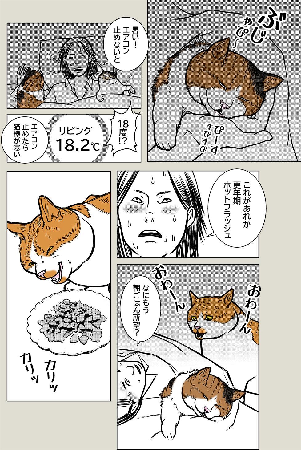 更年期老年期