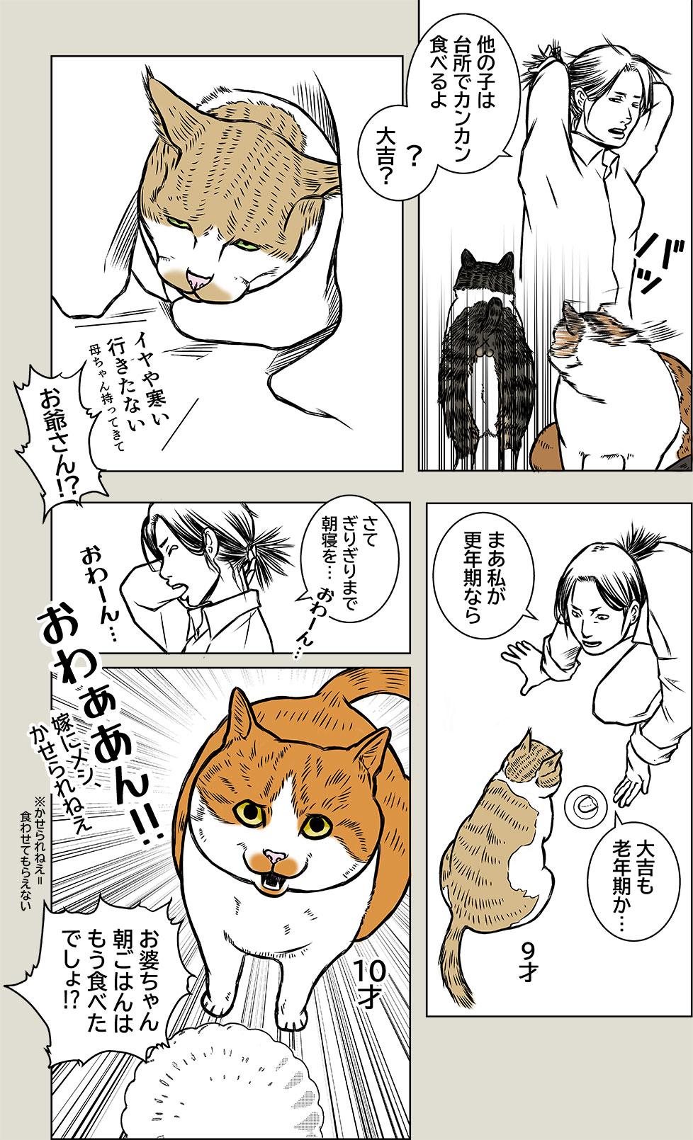 更年期老年期