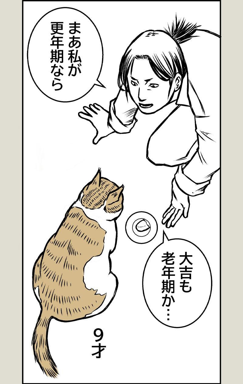 更年期老年期