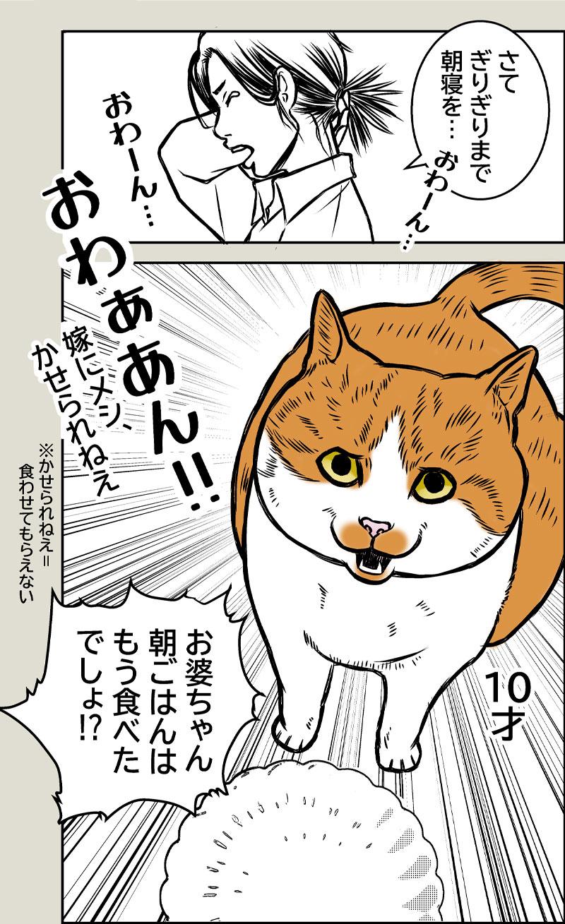更年期老年期