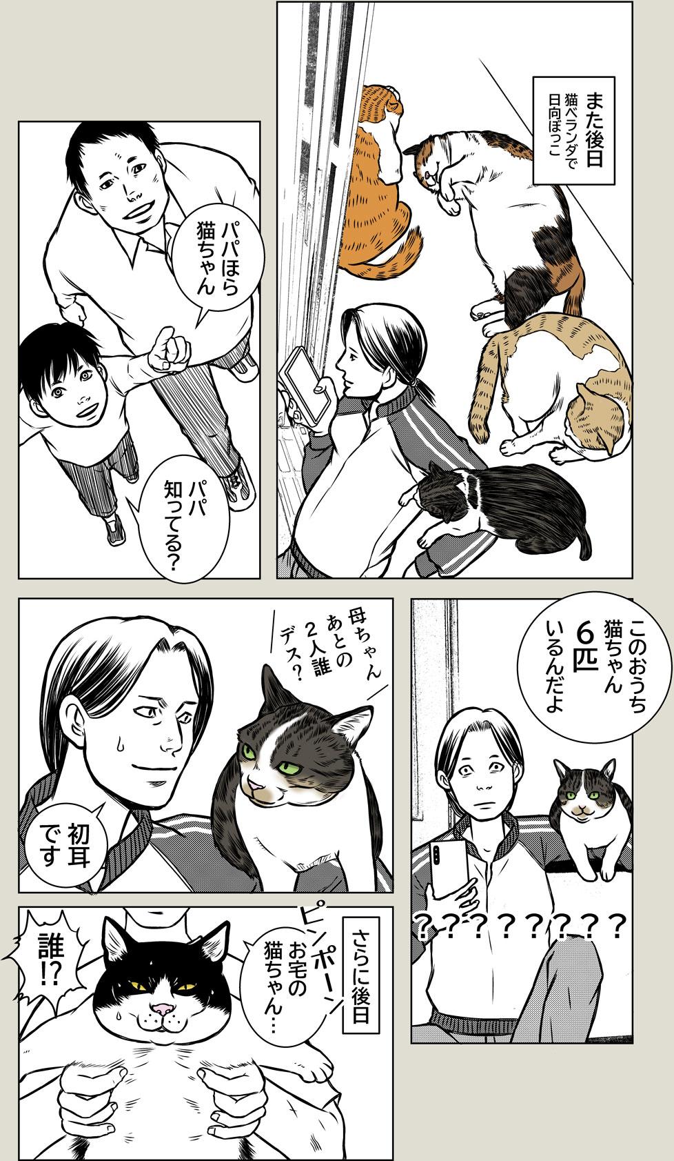 猫屋敷