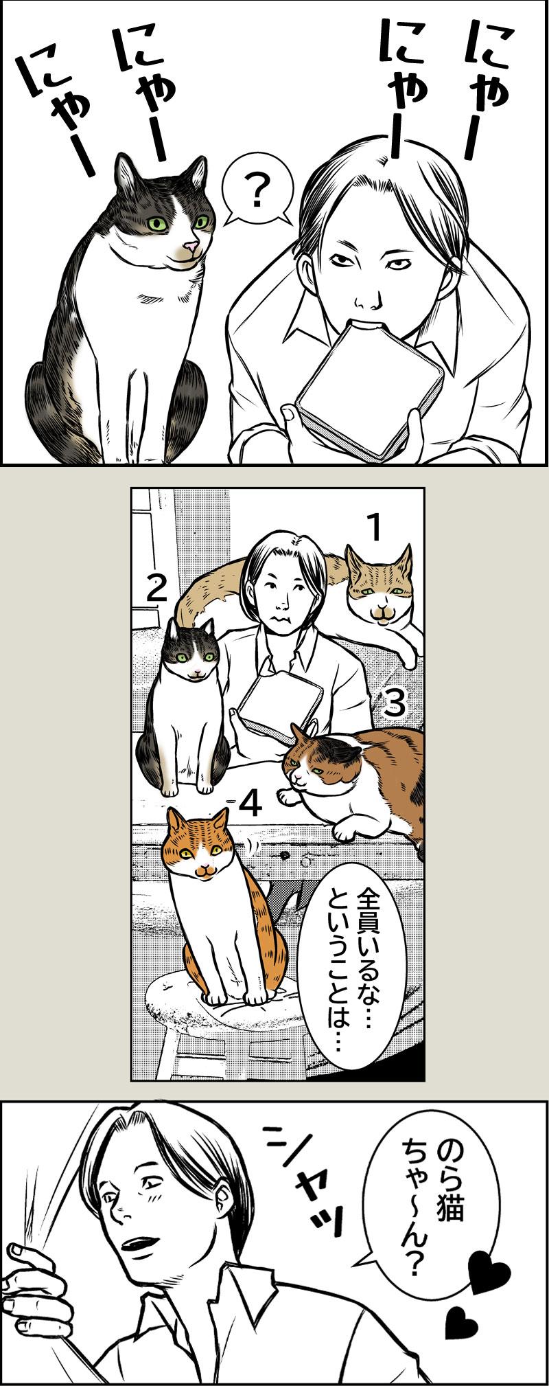 猫屋敷