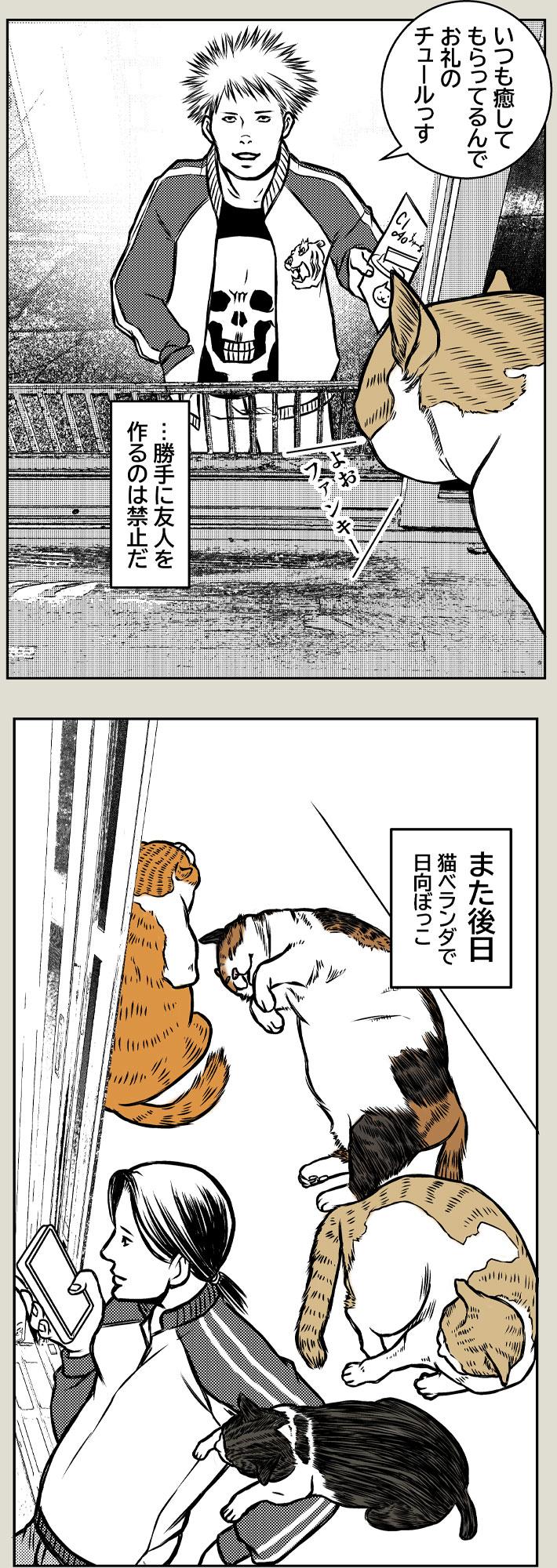 猫屋敷
