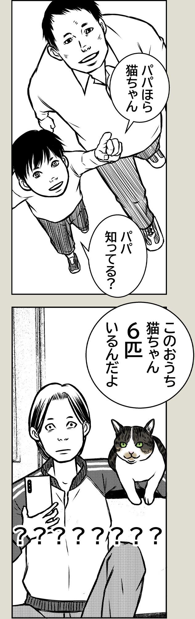 猫屋敷