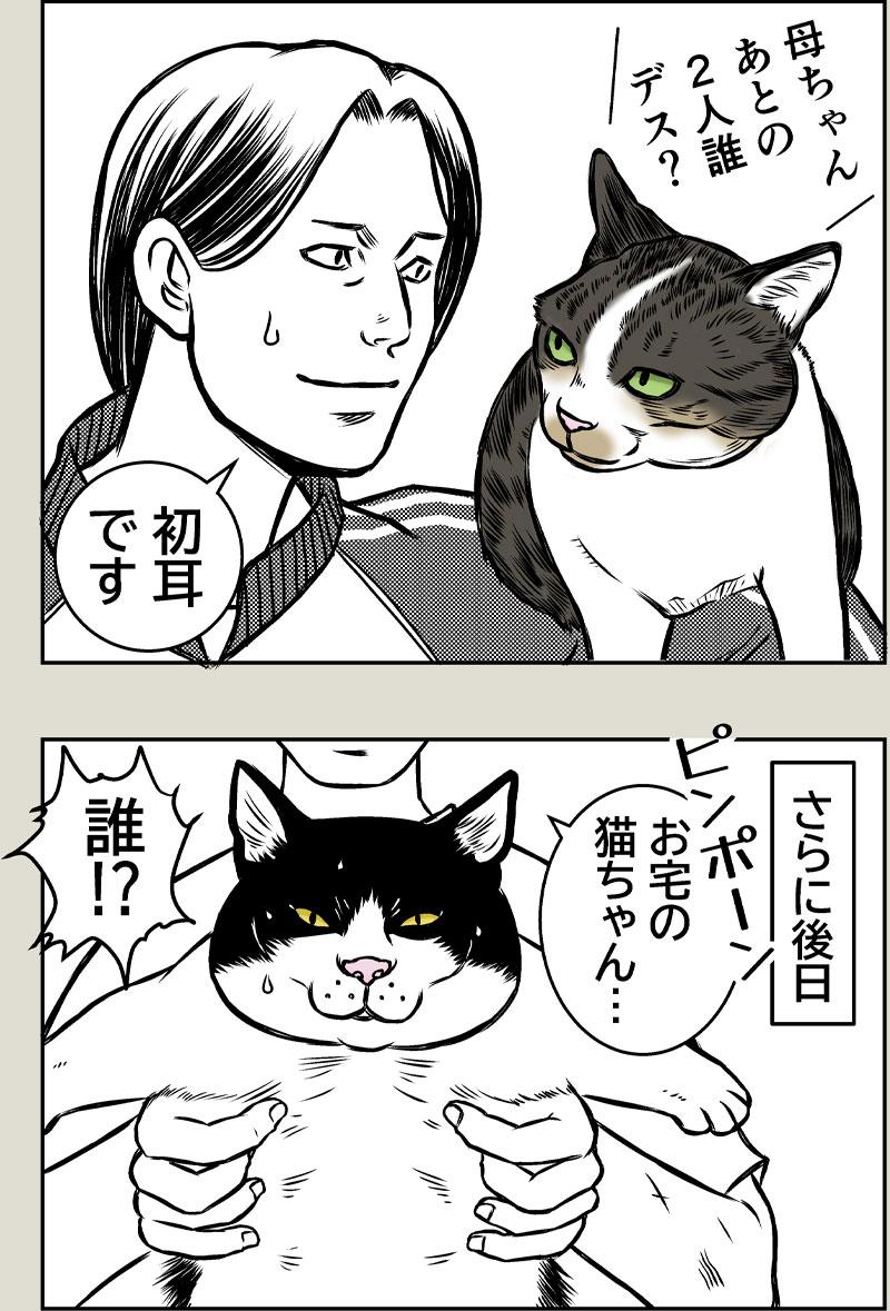 猫屋敷