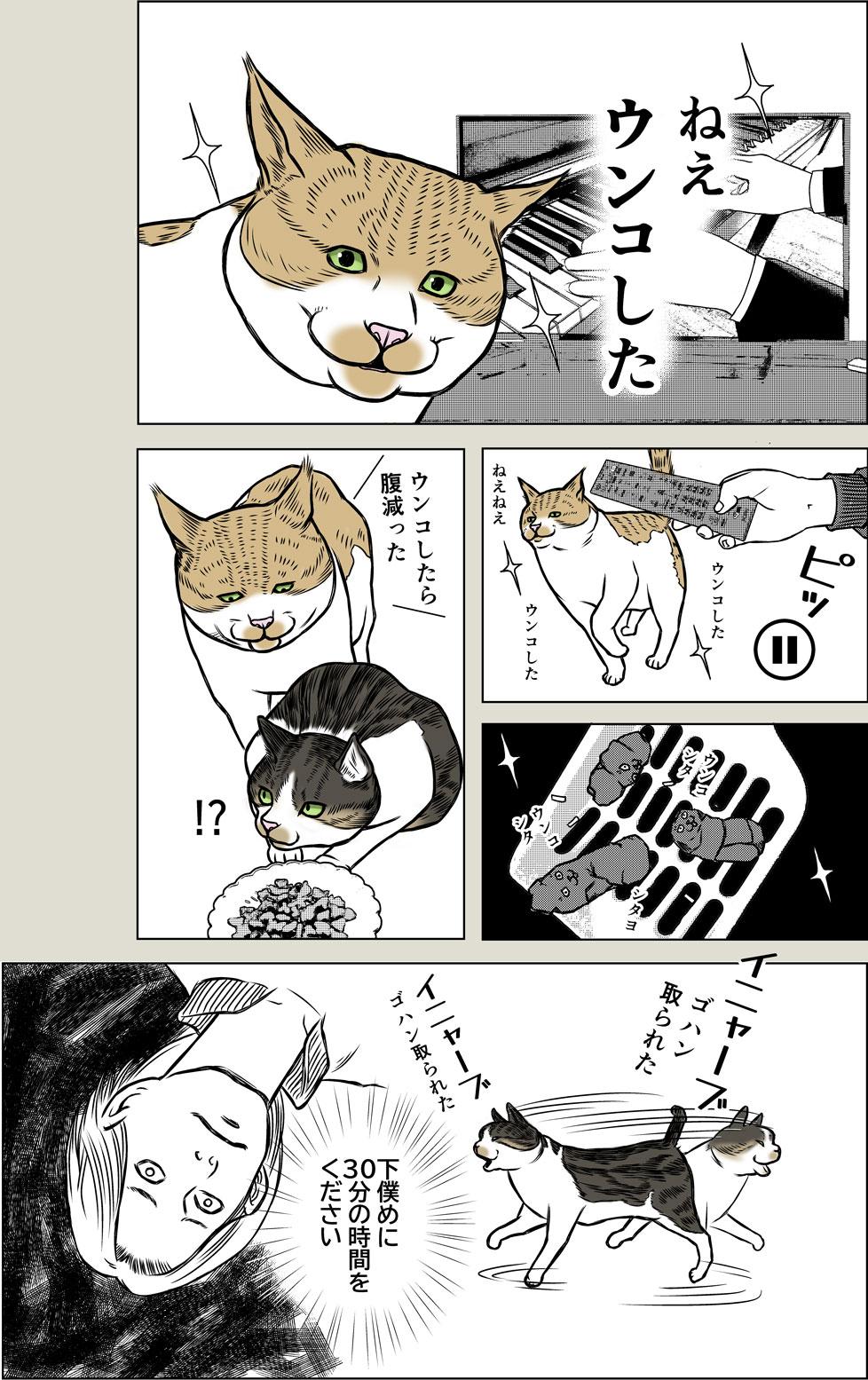 猫奴隷の自由