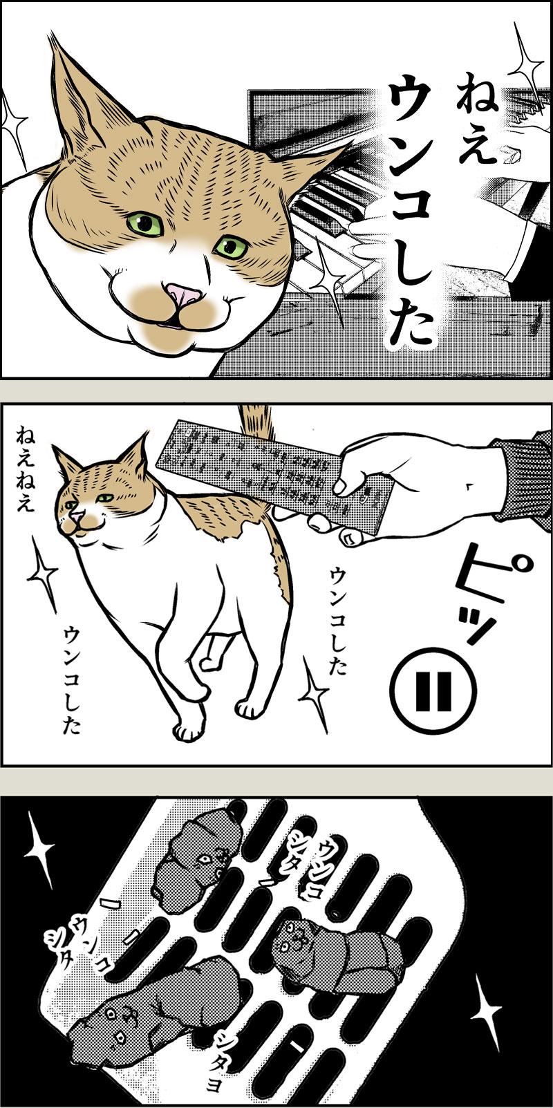 猫奴隷の自由