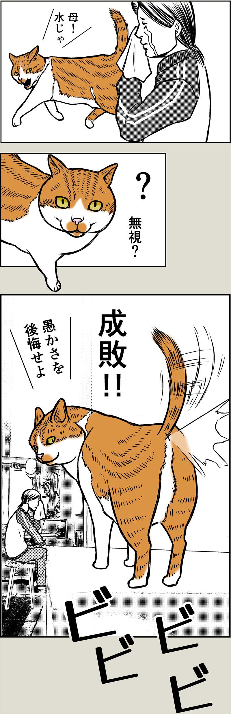 猫奴隷の自由