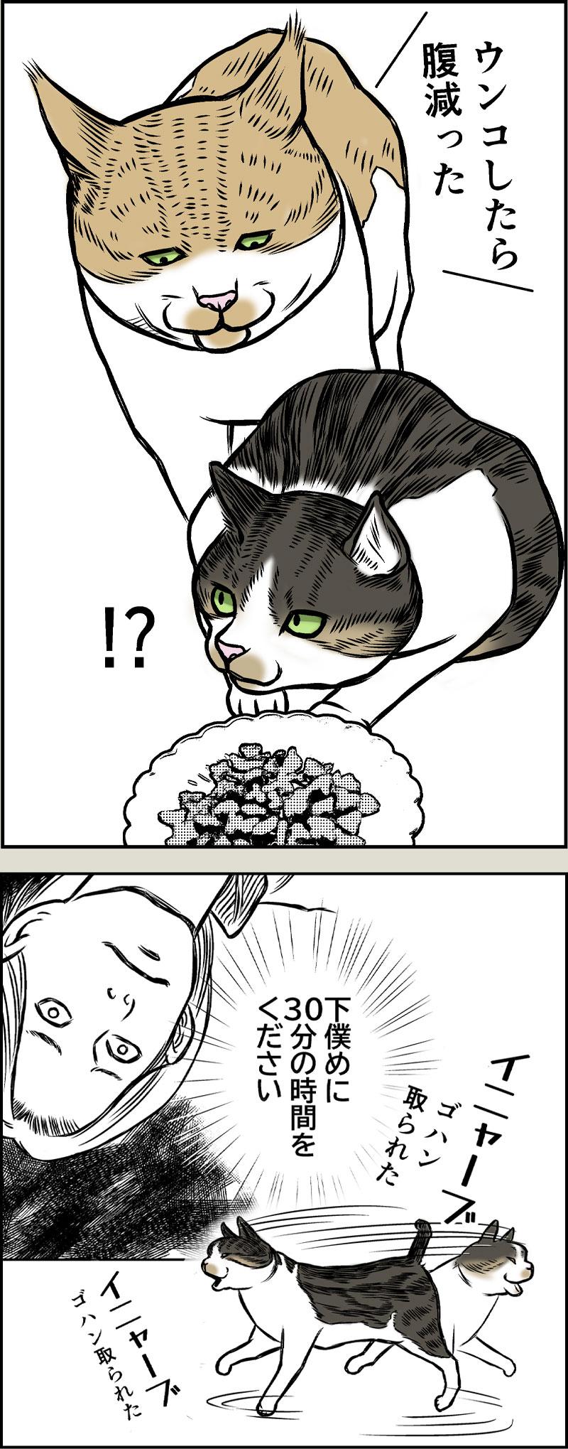 猫奴隷の自由
