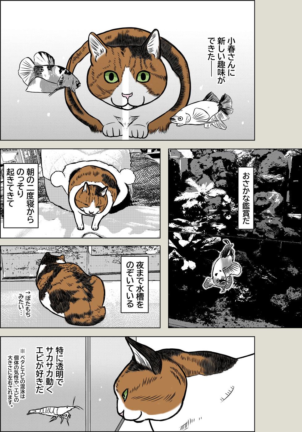 小春さんの趣味