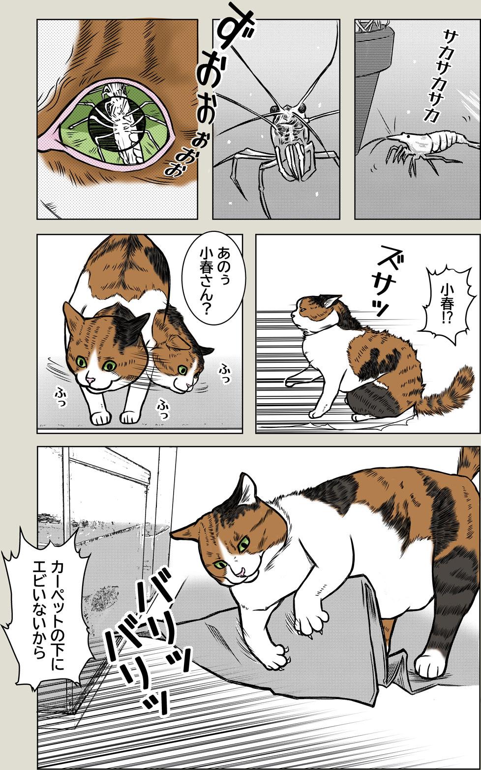 小春さんの趣味