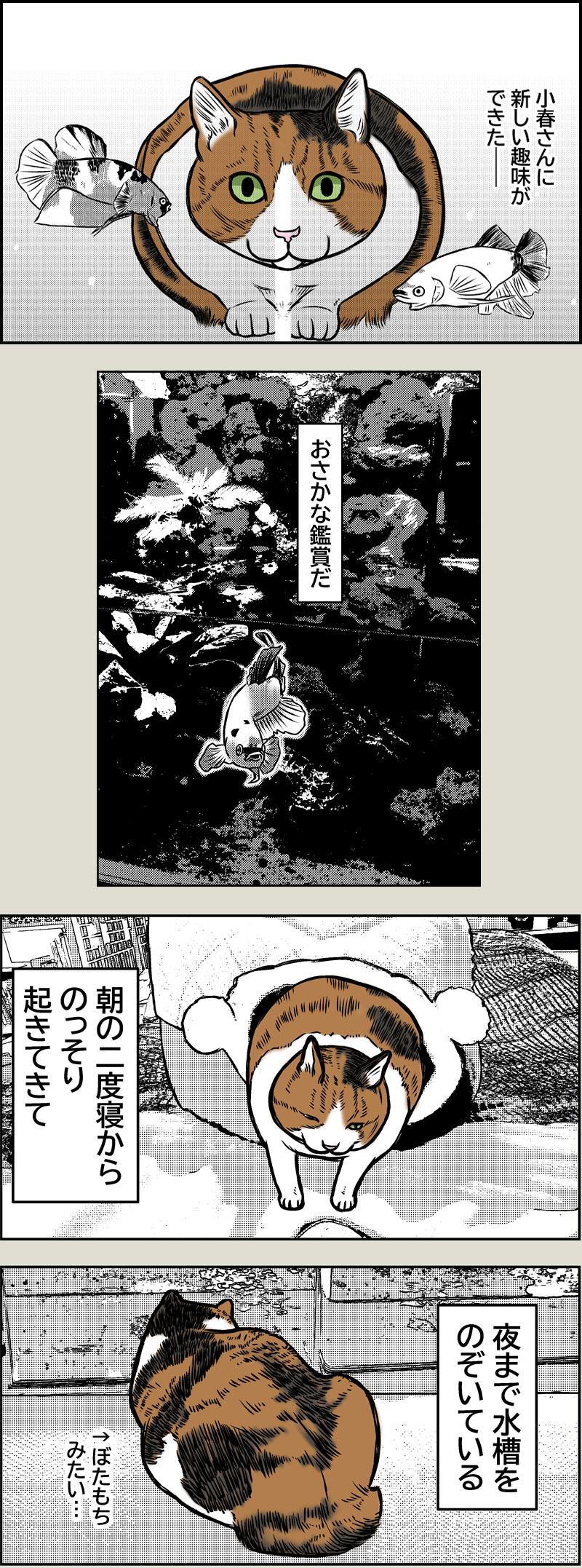 小春さんの趣味