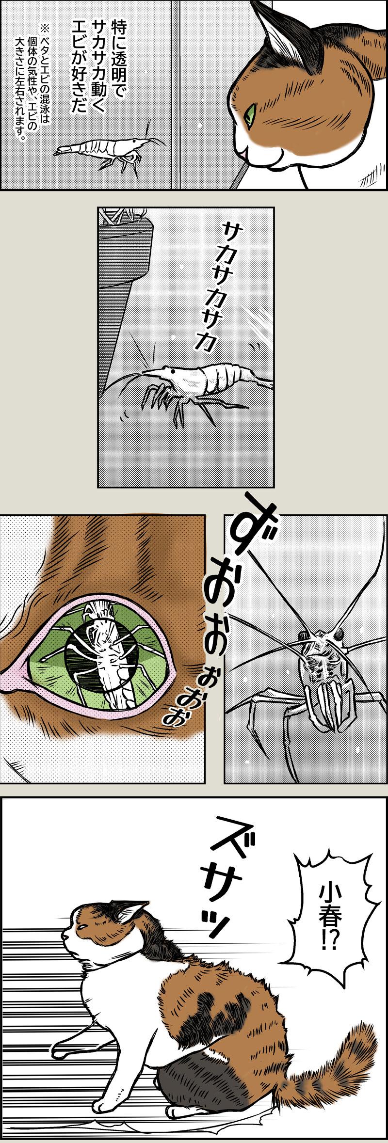 小春さんの趣味