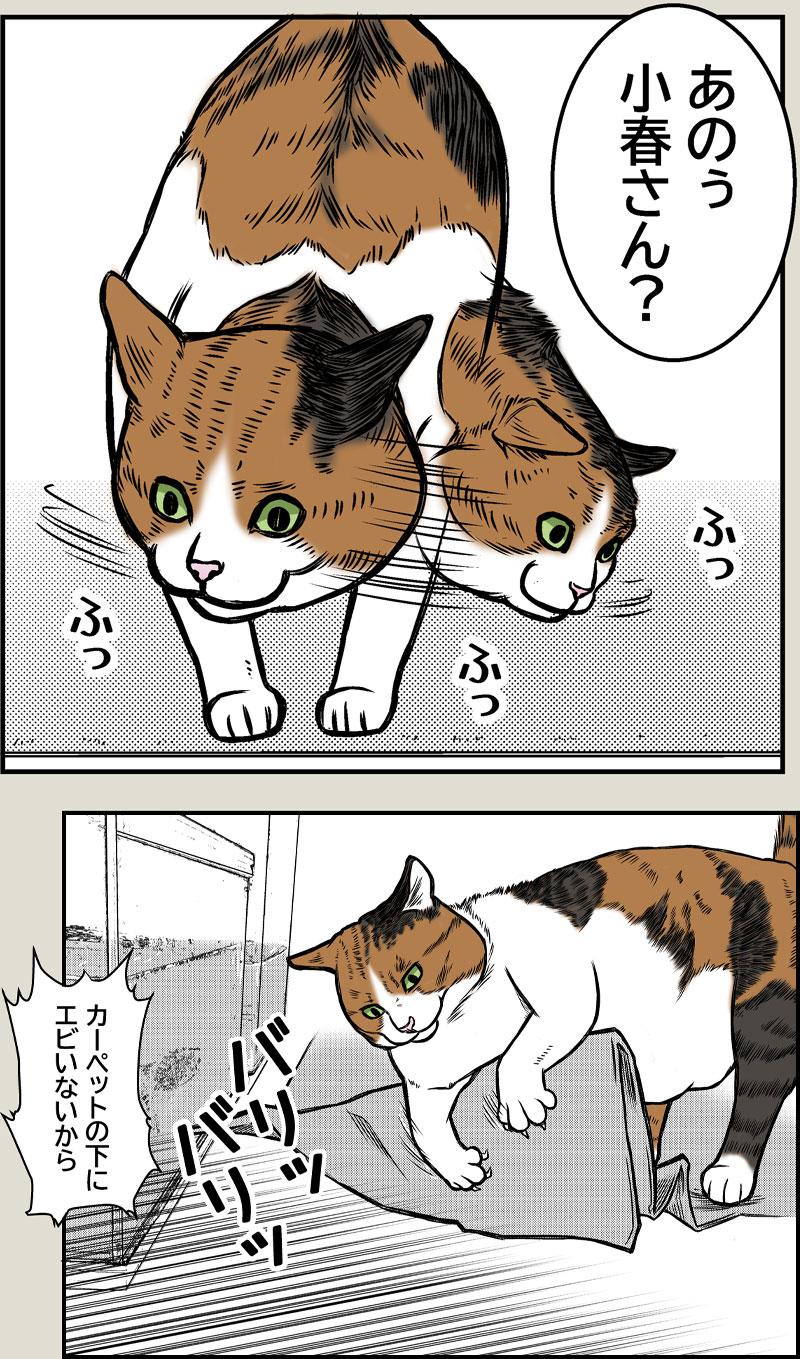 小春さんの趣味