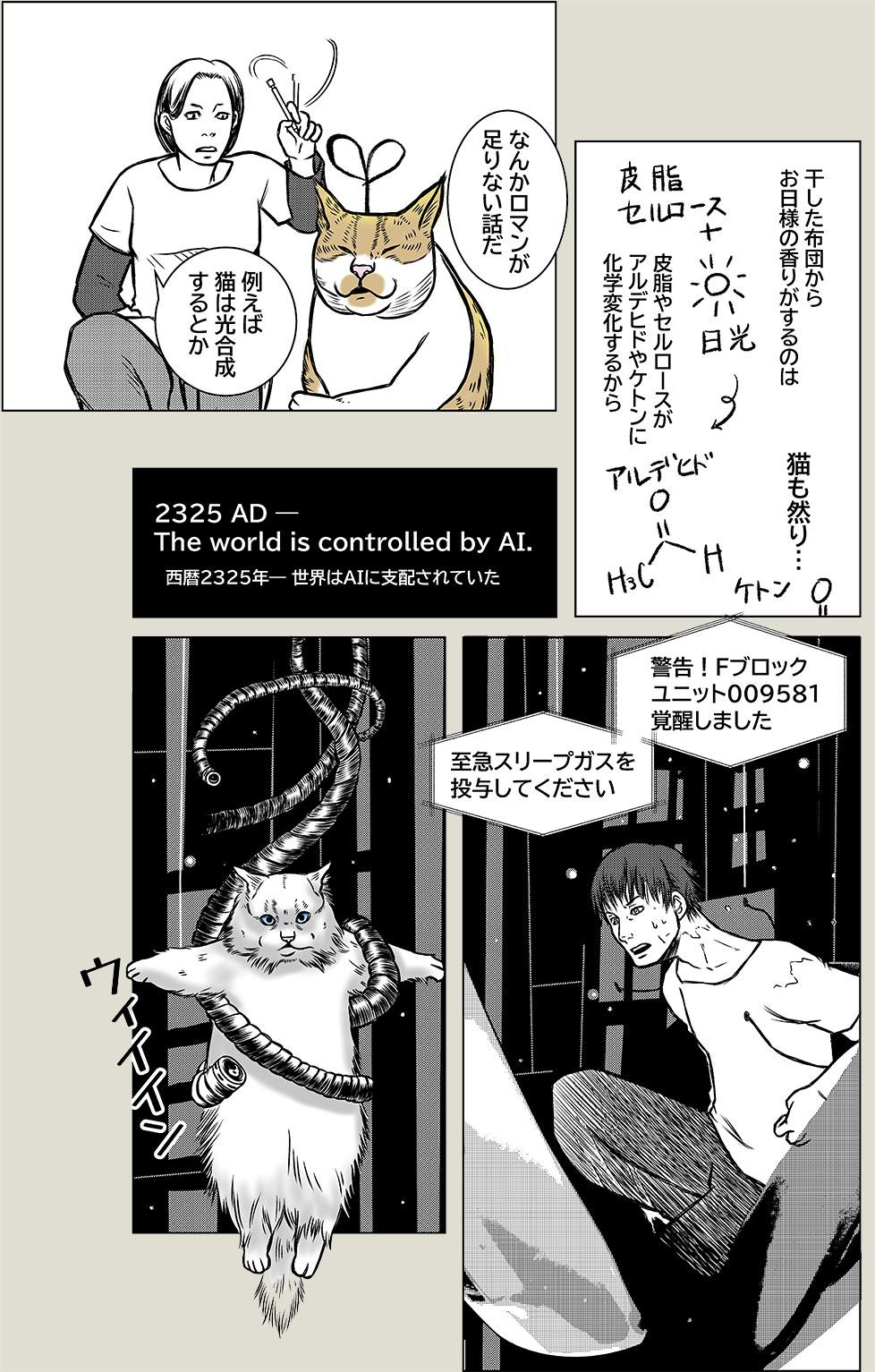 猫SF