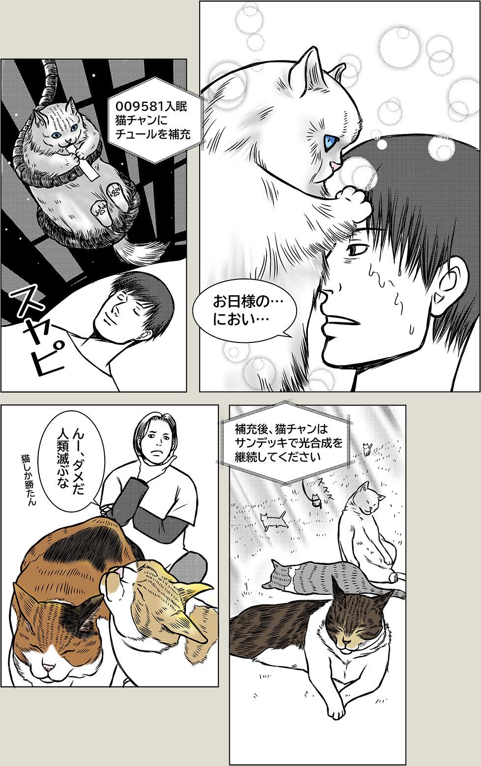 猫SF
