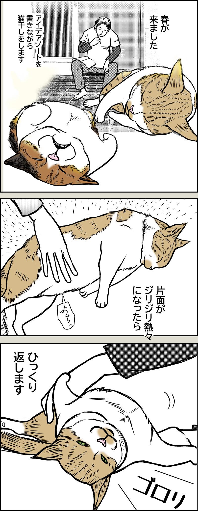 猫SF