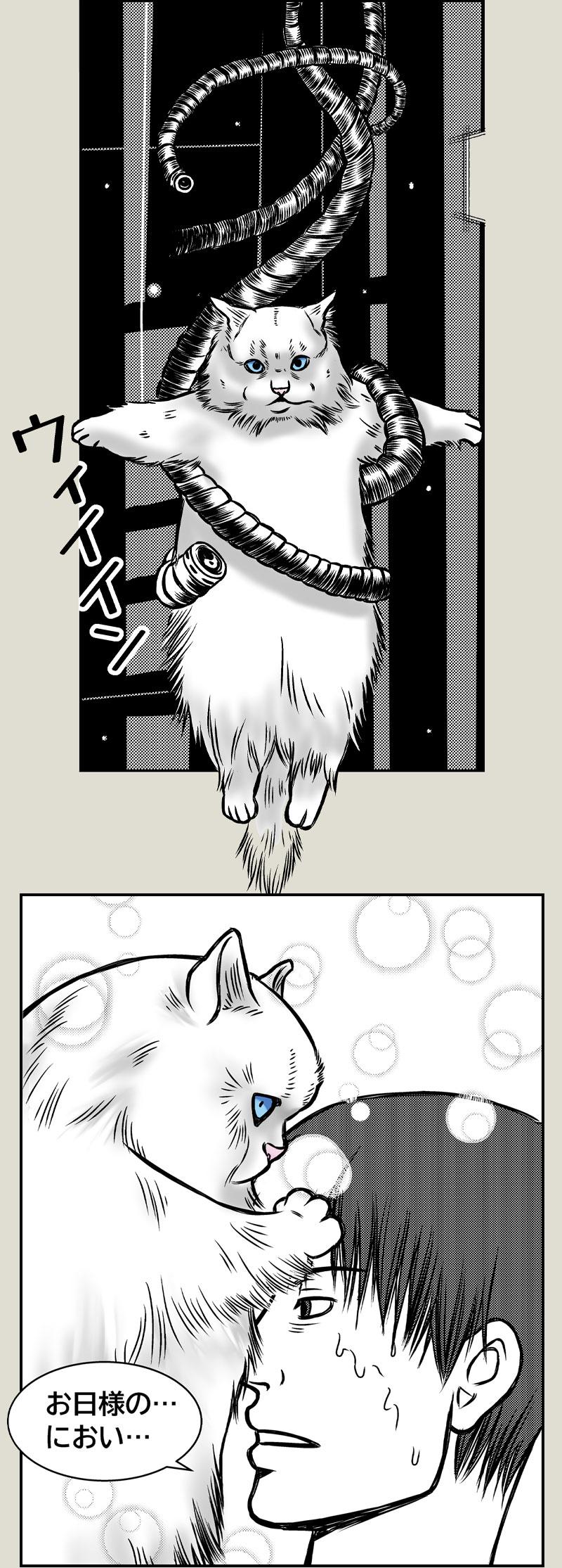 猫SF